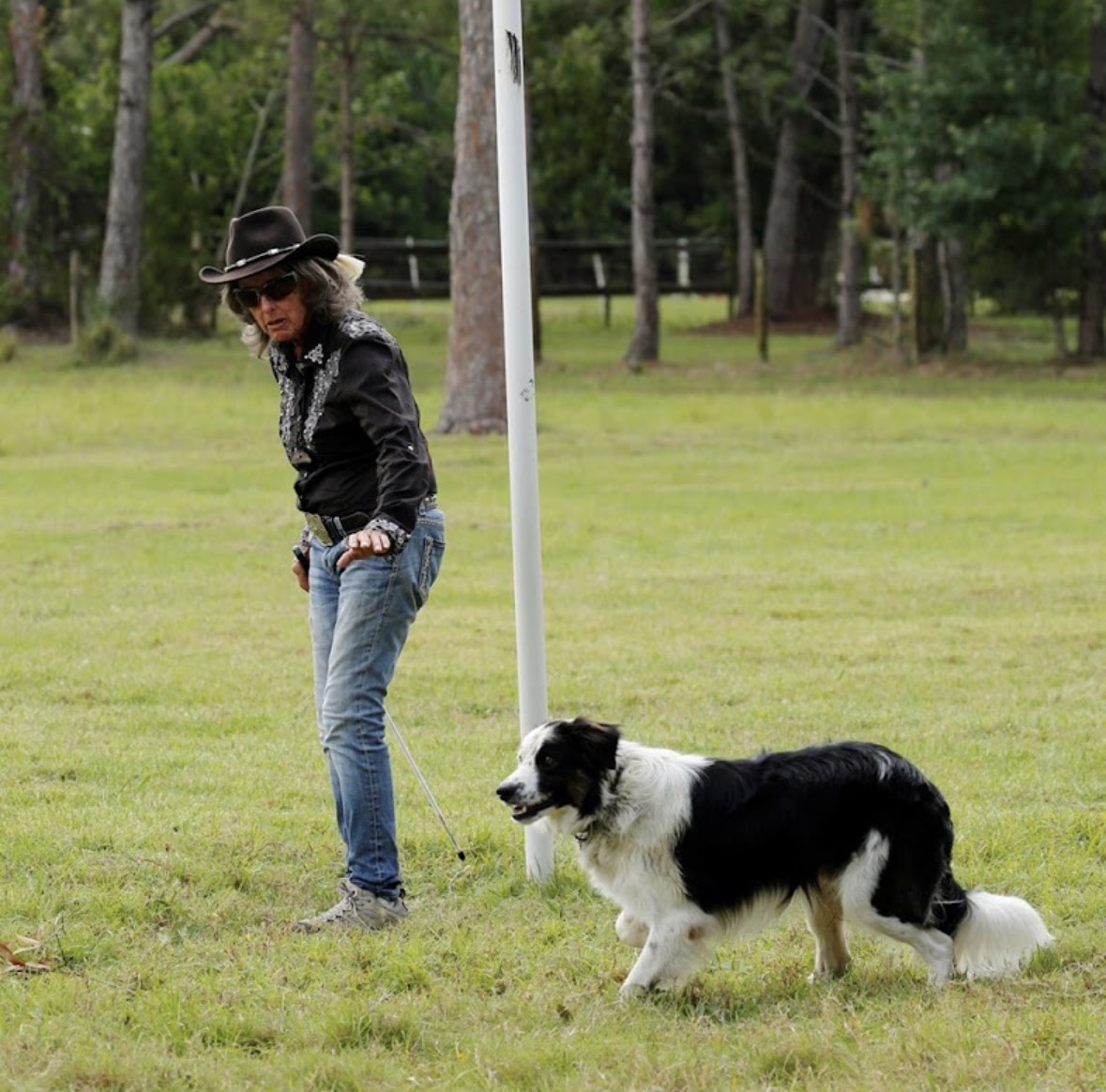Judith Kelly guiding a Border Collie during herding lessons